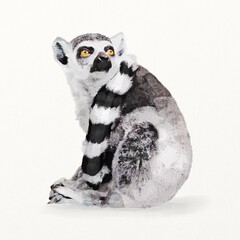 Naklejka premium Watercolor lemur illustration, animal painting