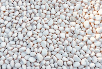 A scattering of smooth, white pebbles forms a textured background,  simple,  image