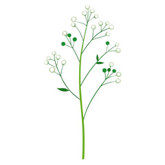 lilac branch isolated on white background