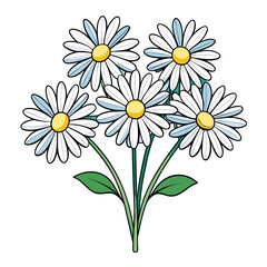 daisies on white background