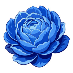 Obraz premium blue and white rose
