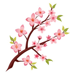 pink cherry blossom