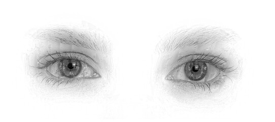 A pencil sketch of the eyes of a young woman closeup