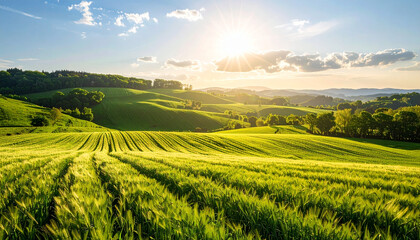 Obraz premium Green Fields in the Countryside at Sunset