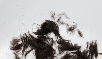White Background with Short Dark Hair Clippings 