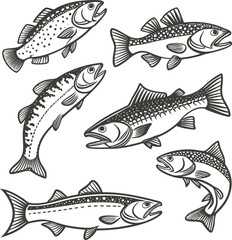 Fototapeta premium Hand Drown Fish Vector illustration Silhouette. Set of Fishes.