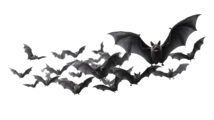 Group of eerie flying black bats in dynamic wing poses, isolated on white background