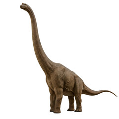 Mamenchisaurus Giant Sauropod Dinosaur Illustration on transparent background