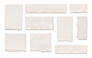 Various torn white paper pieces arranged artistically for design use