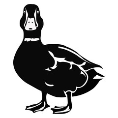Duck vector art design
