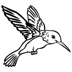 Hummingbird vector art design