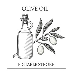 Olive oil and bottle vector 