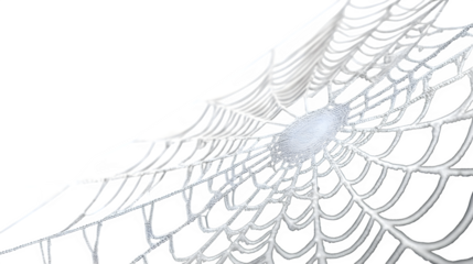 Intricate spider web with fine delicate strands for spooky decor, isolated on white background