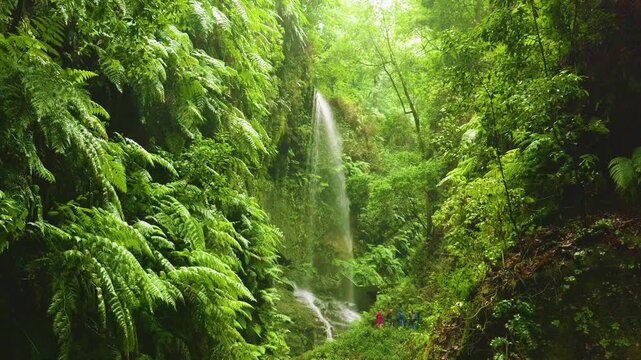 Cascada de los Tilos Waterfall, La Palma, Canary Islands, Spain
