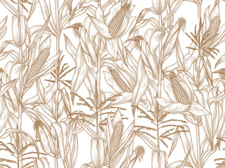Seamless vector pattern of corn field in engraving style. Cooking dishes from corn. Popcorn. Farming
