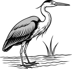 Realistic heron bird standing near water detailed vector illustration isolated on white background isolated on transparent background