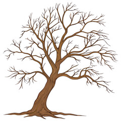 Detailed Illustration of a Bare Tree Against a White Background