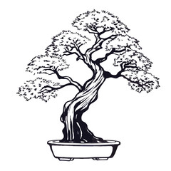 Detailed Line Drawing of a Japanese Bonsai Tree in Pot