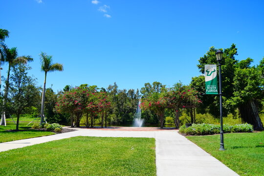Sarasota, Florida USA - Sep 15, 2025: the Building of University of South Florida Sarasota Manatee campus