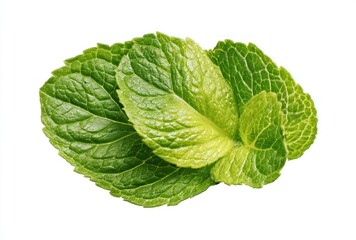 A close-up of a sprig of fresh mint, its vibrant green leaves showcasing intricate vein patterns against a clean, white backdrop. Isolated subject