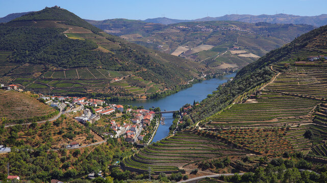 View of the Douro valley, the Douro River, vineyards and the Railway bridge over the Pinhao River, Pinhao, Portugal