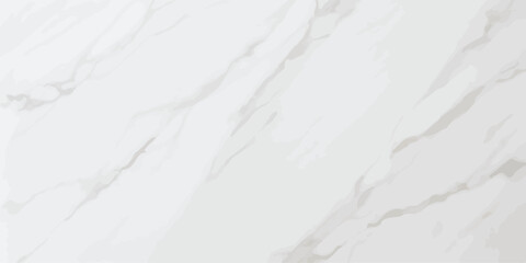 Obraz premium Simple light grey abstract background with soft shapes and textures