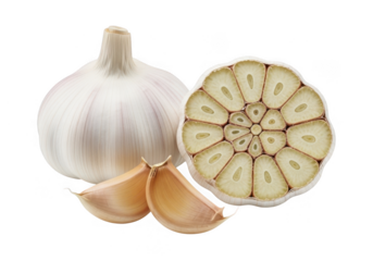 Whole garlic bulb with cloves and cut half isolated on transparent background