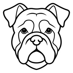 english bulldog portrait