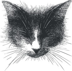 Obraz premium A stylized black and white illustration of a cat's face featuring expressive whiskers and fur.