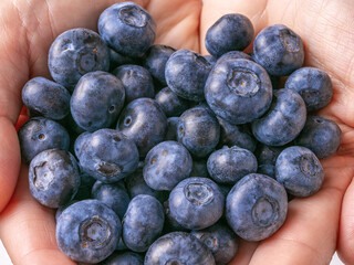 Organic blueberries held in palm, natural fruit and antioxidant-rich snack. Close up.
