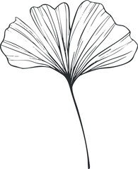 A detailed outline illustration of a delicate flower with elegant petals and a slender stem.