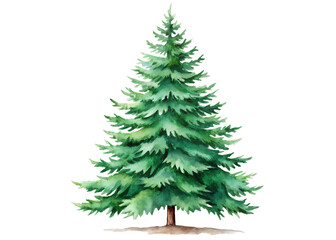 Fototapeta premium Watercolor illustration of a lush green pine tree isolated on transparent background, perfect for holiday and nature designs