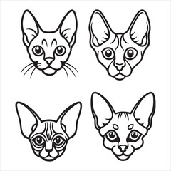 A Mischievous and Playful Devon Rex, a Clown of a Feline with a Wavy and Curly Coat, a Pixie-faced Companion with a Doglike Personality, a Result of a Genetic Mutation