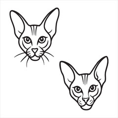 A Sleek and Elegant Oriental Shorthair, an Exotic Feline with a Tubular Body, Almond-shaped Eyes, and a Vocal Personality, a Mischievous and Curious Companion