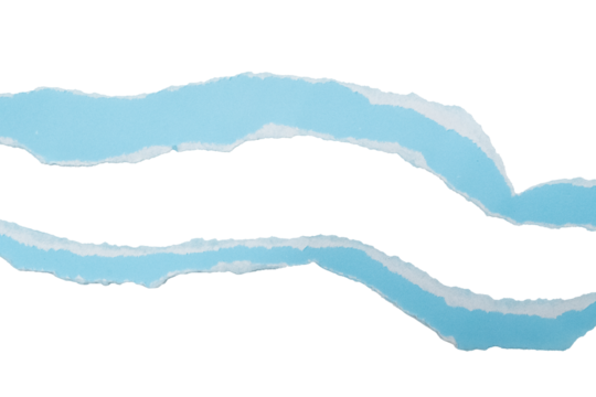 Abstract light blue flowing waves on a clean white space minimalist design  on a transparent Background