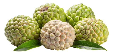 A cluster of ripe custard apples with green leaves on a transparent background isolated on transparent background