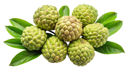 Fototapeta premium A cluster of ripe green custard apples surrounded by fresh green leaves isolated on transparent background