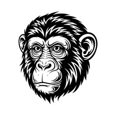 Obraz premium Detailed gorilla monkey ape primate mammal face head silhouette vector illustration