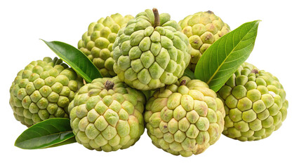 Obraz premium A bunch of fresh custard apples with green leaves isolated on transparent background