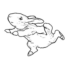 Peter Rabbit in line art style, vintage illustration children's book character for design and printing.