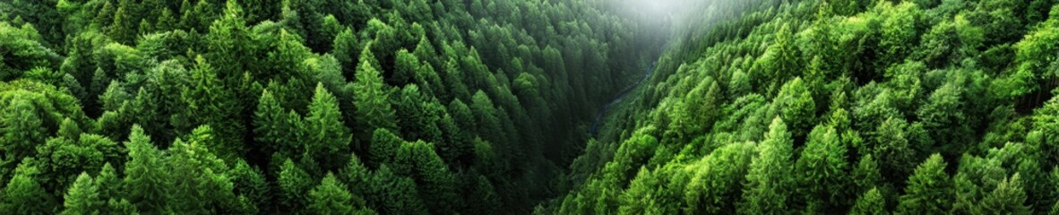 Aerial View of Integrated Biomass Energy Converters in Enchanted Forest
