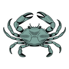 Stylized teal and black crab illustration with raised claws and textured shell, symbolizing marine life, seafood, and artistic anatomy