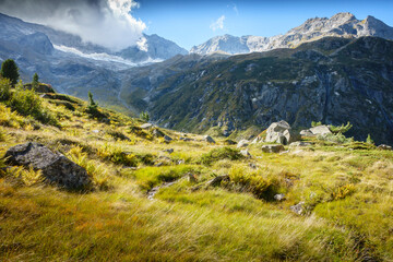 Alpine Gelände im Zillertal Tirol mit Blick zu einem Gletscher