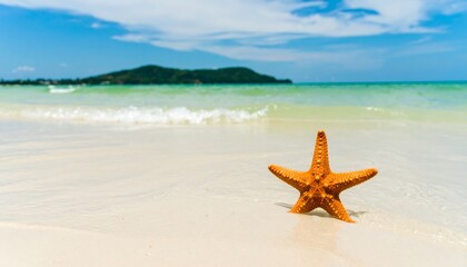 Orange starfish on a sunny beach