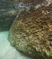 Underwater rocks photographed during a dive in the Mediterranean Sea