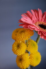 Arranjo de flores conceituais