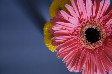 Arranjo de flores conceituais