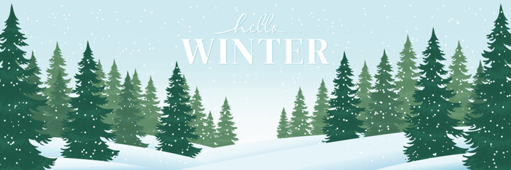 Winter Landscape with Evergreen Trees Vector.