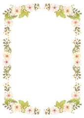 Watercolor floral frame with white blossoms and greenery, elegant botanical border with copy space and transparent background/水彩で描いた白い花のフレーム・ボタニカルでエレガントなデザイン・便箋や招待状に使える背景イラスト