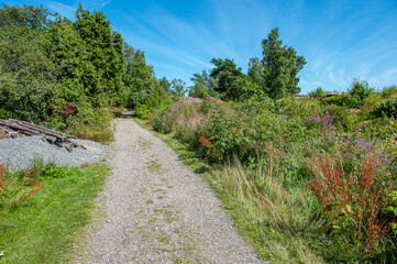 Footpath at Harstena Island in the Baltic Sea. Harstena belongs to the Swedish archipelago of Gryt and is a popular tourist destination.